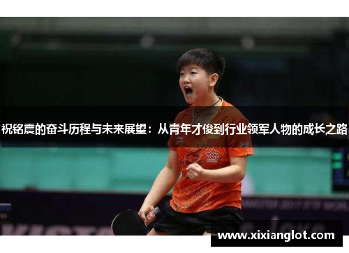 祝铭震的奋斗历程与未来展望：从青年才俊到行业领军人物的成长之路